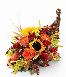 Cornucopia